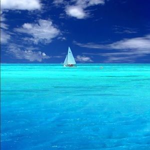 Meet your Posher, Paula